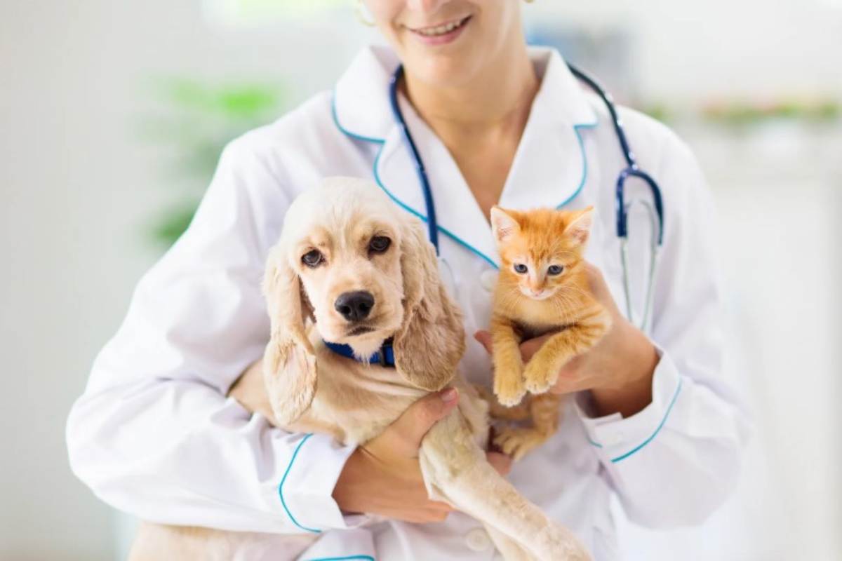 Quali sono le vaccinazioni estive per cani r gatti