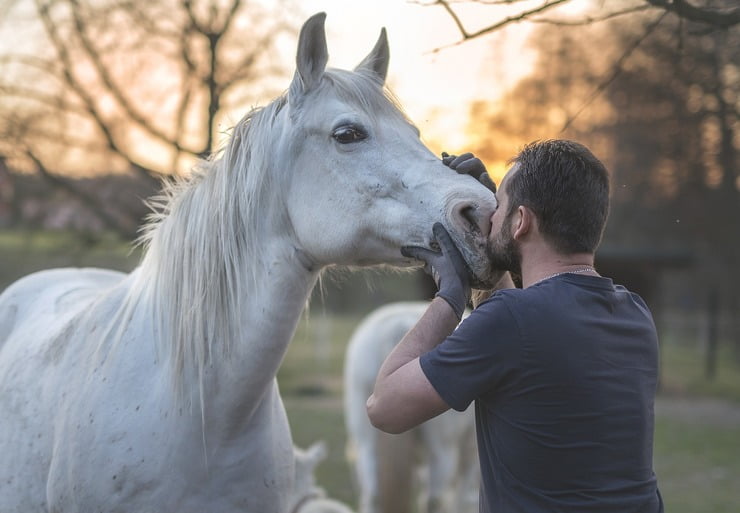 Non è facile tenere un cavallo