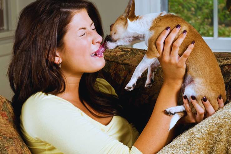 cosa succede se baci il cane in bocca