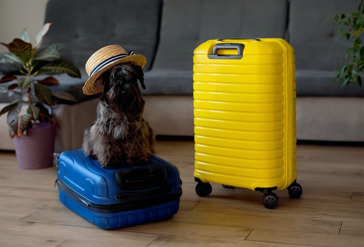 destinazioni pet friendly in italia