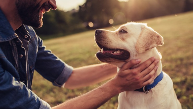 età del cane