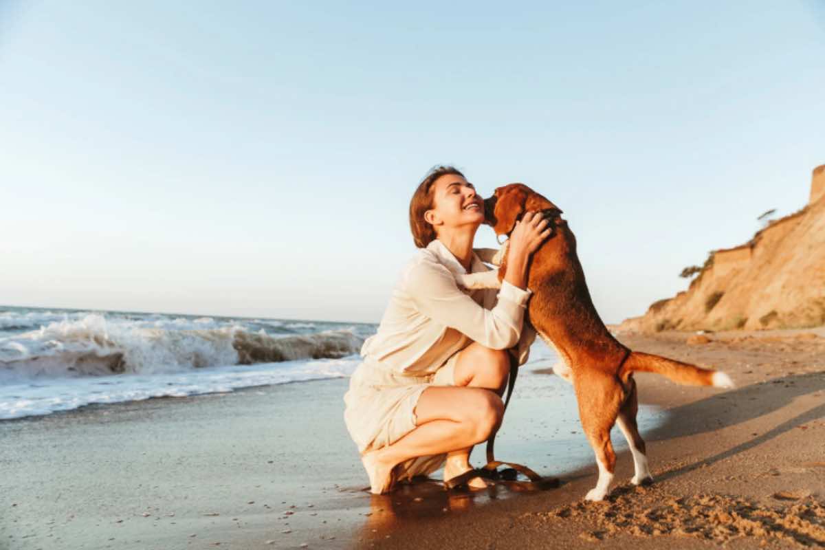 5 segnali per capire se il cane è felice