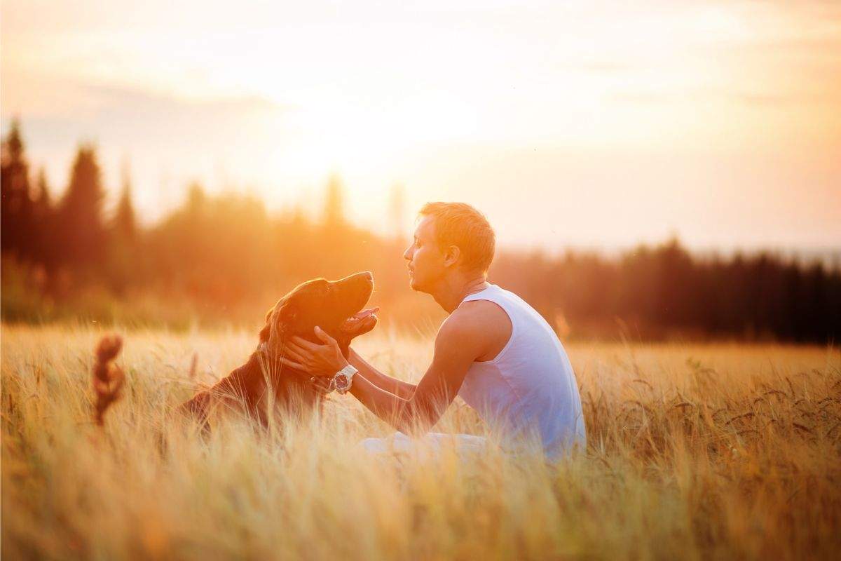 come insegnare il richiamo al cane