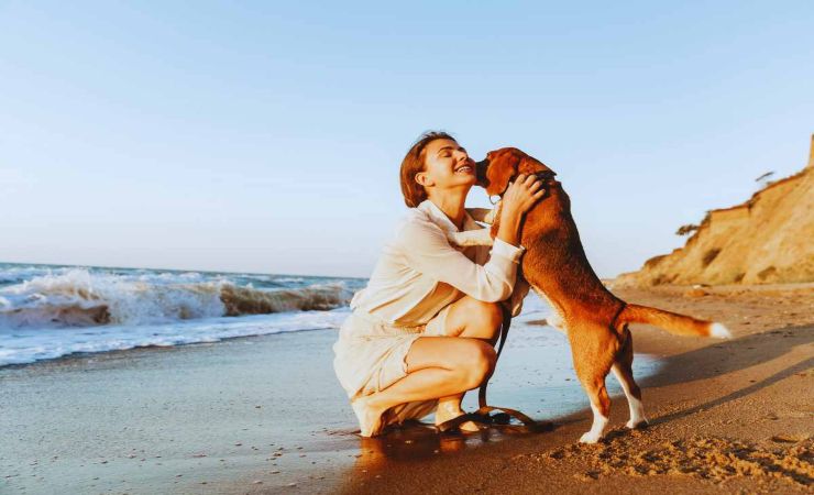 guida per portare il cane a mare