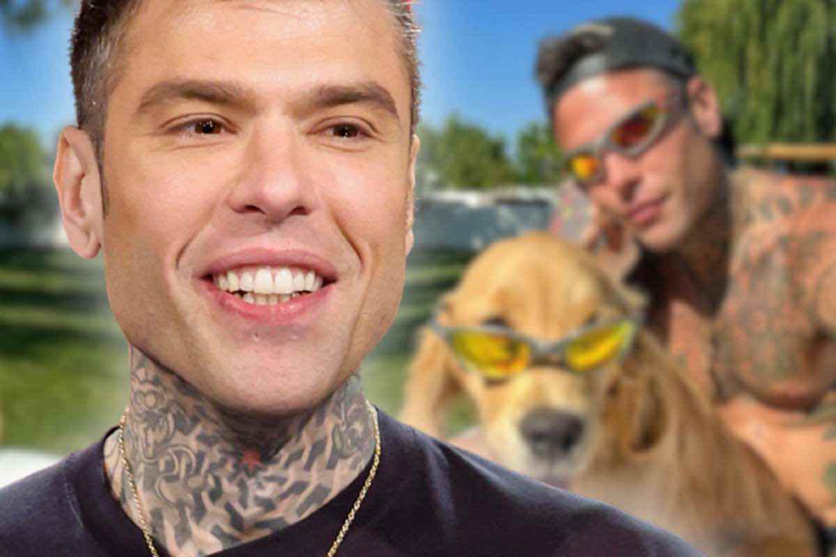 Fedez il video del cagnolino Silvio 