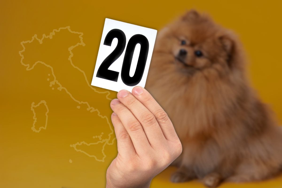 i 20 nomi di cani più usati