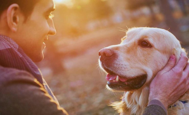 gli elementi a cui pensare prima di adottare un cane