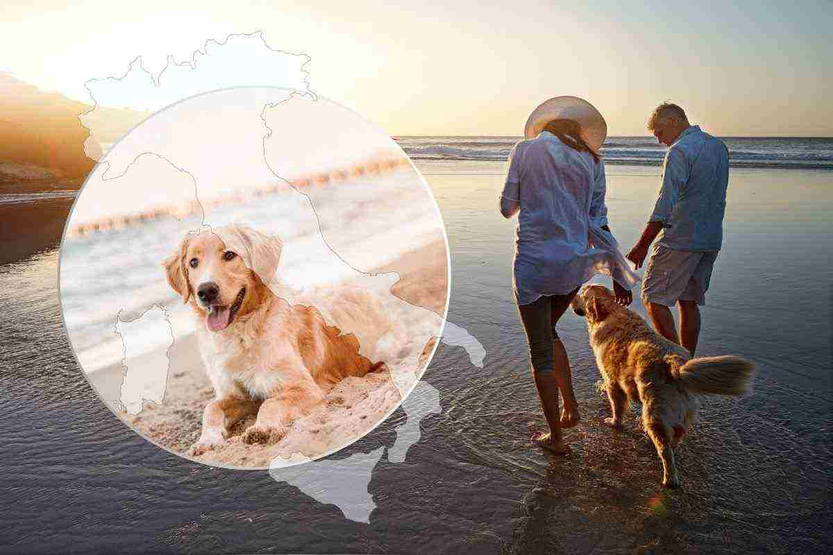 le spiagge in cui andare con il cane